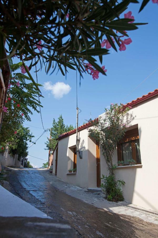 Willa Antoni'S House Makri Aleksandropolis Zewnętrze zdjęcie