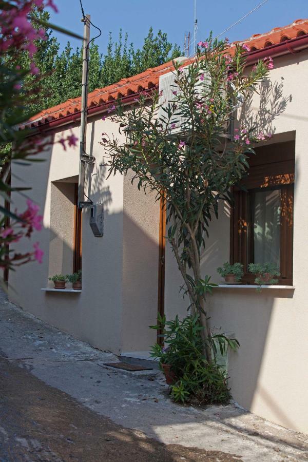 Willa Antoni'S House Makri Aleksandropolis Zewnętrze zdjęcie